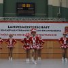 2015 Landesmeisterschaft